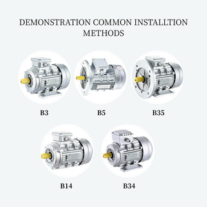 Weg W21 7.5HP 5.5KW 960 vòng/phút hiệu suất cao điện áp thấp ba pha AC động cơ không đồng bộ - Product Image 5