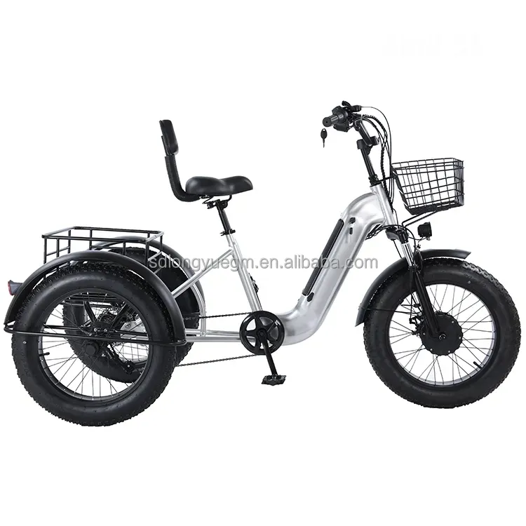 중국 새로운 스타일 성인용 3 륜 전기 트라이크 전기 오토바이 세발 자전거 EU EEC E화물 트라이크