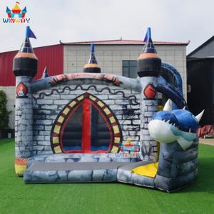 Vente chaude Château gonflable en PVC commercial Dragon Combo avec installation facile pour les enfants - Amusement et sécurité - Product Image 2