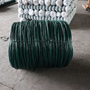 PVC Coated Tie <strong>Wire</strong> 1mm <strong>2mm</strong> Garden <strong>Wire</strong> Plastic Coated Garden <strong>Wire</strong> Strap Bonsai Outlet Cable Plant Winding Line Garden Line - Product Image 4