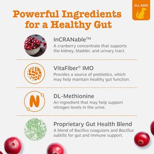 Masticabili Morbidi al Gusto di Manzo e Mirtillo Rosso per Cani - Senza Cereali, Biologici, ad Alto Contenuto Proteico, per la Salute del Tratto Urinario e della Vescica, per Evitare l'Ingestione di Erba - Product Image 3