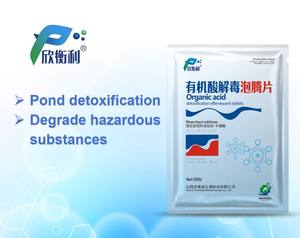 Comprimés effervescents d'acide organique de haute pureté Supplément de croissance de volaille pour améliorer la santé intestinale Additifs alimentaires - Product Image 3