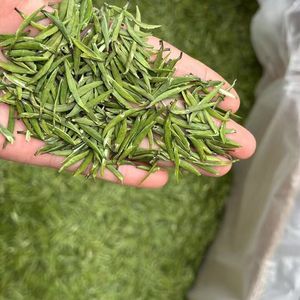 Té Verde Mingqian de Sichuan de Alta Calidad de Nueva Cosecha, Zhu Ye Qing, Té Suelto de Hojas de Bambú, Verde Pájaro - Product Image 5