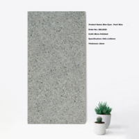 Carreaux de sol en porcelaine de 20 mm à finition mate, design européen, avec isolation thermique et surface antidérapante, pour usage extérieur en villa