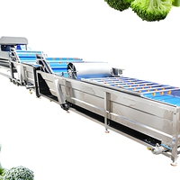 Machine à laver et à peler les pommes de terre, type brosse, pour le lavage et l'épluchage du gingembre, destinée à la transformation des fruits et légumes