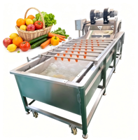 Industriële multifunctionele belletjeswasmachine voor de verwerking van groenten en maïs, voedselveilige roestvrij staal