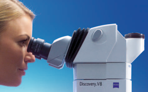 StelEO Discovery.V8 ให้ภาพคมชัดและสดใสในด้านชีววิทยาพัฒนาการและการประกันคุณภาพ - Product Image 3