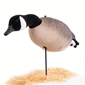 Décoys de chasse au canard 3D personnalisables, trois postures, pliables, en EVA, leurres de chasse au canard du <span class=keywords><strong>Canada</strong></span> pour accessoires de chasse en extérieur - Product Image 4