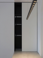 Casiers modulaires personnalisés pour salon, style moderne, écologiques, durables, grande capacité, pour salle à manger et hôtel, directement de l'usine