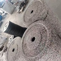 Plaques de protection en caoutchouc EPDM 20 kg – Conformes LWF, durables et écologiques, équilibrées avec précision, codées par couleur pour la compétition et le fitness