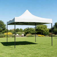 Vente directe d'usine, tentes de camping, tentes de salon professionnel en plein air, 3x4,5m, 3x3m, tente à auvent, tente de camping personnalisée