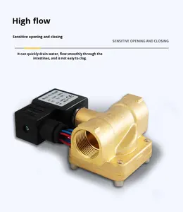 耐久性0927シリーズ2ポジション双方向パイロットタイプノーマルクローズタイプダイヤフラム真ちゅう製ソレノイドバルブ<span class=keywords><strong>3</strong></span>/4 - Product Image 2