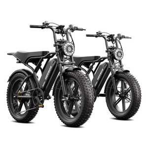Vélo électrique Fatbike Tuttio Soliel 01dirt Bike 250W 500W <span class=keywords><strong>750W</strong></span> 1000W en stock - Product Image 1