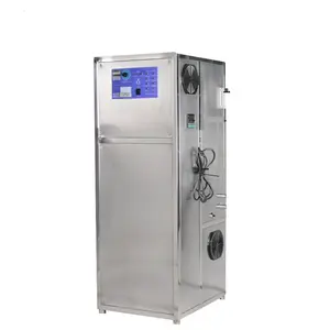Système de traitement de générateur d'ozone de Source d'oxygène de haute qualité industrielle d'usine de 400g pour la désinfection d'eau potable