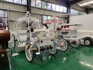 Carruaje Eléctrico de Princesa Cenicienta con Luces LED, Control Remoto, Juego de Disfraces para Niños, Decoración para Fiestas y Fotografía - Product Image 3