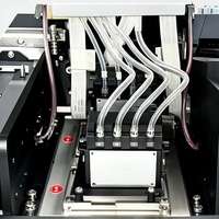 Impresora DTF de rollo nueva de 30 cm para cabezales de impresión 3200A1/XP600/F1080A1, agitador de polvo UV de 3200 dpi para camisetas y zapatos DIY (película PET)