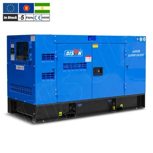 BISON Industrial 3 Phase Silent Power Big Engine 45Kva 36Kw Diesel Electric Generator Price For Home