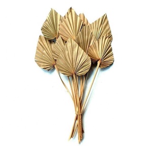 Palm leaves Natural palm leaves Palm spear Mother S Day Valentine S Day Christmas Thanksg Gifts for