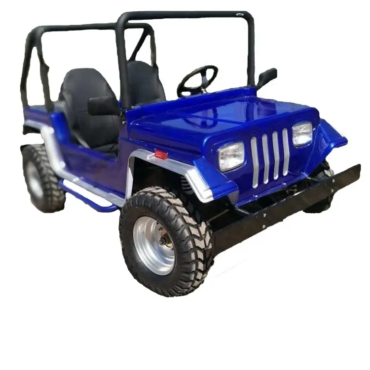 Benzin 200cc Dune Buggy 2 Sitz Golf wagen Gas Mini Jeep Offroad ATV für Eltern Kind