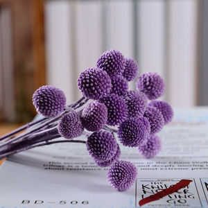 Billy Button Bolas doradas Flores secas preservadas para ramo de boda Decoración navideña Craspedia Billy Ball Craspedia Bola dorada - Product Image 5