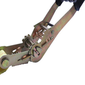 Tali Pengikat Kargo Ratchet Cam Buckle Polyester Tenasitas Tinggi 2 Inci 2T 3T 5T untuk Kontrol Kargo Transporter - Product Image 5