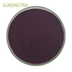 Bubuk ekstrak <span class=keywords><strong>Bilberry</strong></span> standar 25%, suplemen diet bersertifikasi GMP - Product Image 2