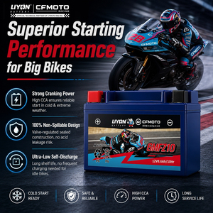 Batería de Gel Sellada de Plomo-Ácido 6MFZ10 12V 8.6Ah Libre de Mantenimiento para <span class=keywords><strong>CFMOTO</strong></span> Racing Standard, Distribuidor Oficial <span class=keywords><strong>CFMOTO</strong></span> - Product Image 6