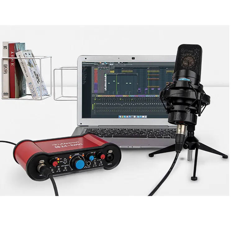 Alctron U24-TWIN offizielle Original 24bit Dual Channel USB Audio Interface Soundkarte hilft Signal von A zu D Mikrofon