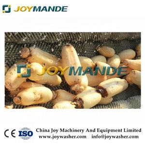 البطاطا الحلوة/غسل الجزر و آلة تقشير - Product Image 5