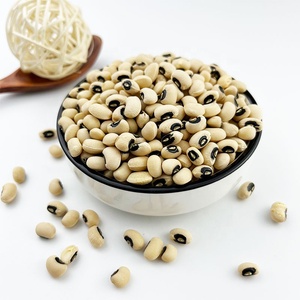 Новый Урожай бобов с черными глазами для продажи высокое качество для обычного культивирования - Product Image 3