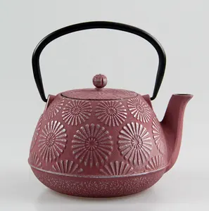 Sotya-TETERA de té de hierro fundido, tetera japonesa duradera con Interior completamente esmaltado