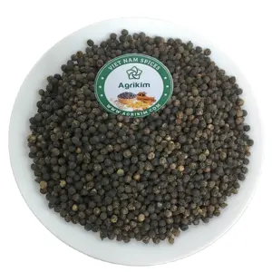 Poivre noir de haute qualité du Vietnam trié à l'exportation qualité poivre bien séché fabricant Direct usine meilleur prix