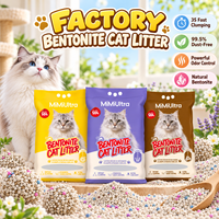 Litière pour chat en bentonite 10L 3S à agglomération rapide, emballage personnalisé, sable pour chat d'usine pour l'approvisionnement des marques