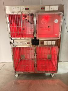 <span class=keywords><strong>Cage</strong></span> pliable de luxe en acier inoxydable pour animaux de compagnie avec plateau en plastique – Boîte vétérinaire domestique très vendue pour chiens - Product Image 3