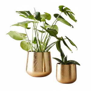 Juego de 2 jarrones galvanizados y macetas de flores, maceta con acabado galvanizado en oro, macetas de plantas para decoración interior/exterior - Product Image 1