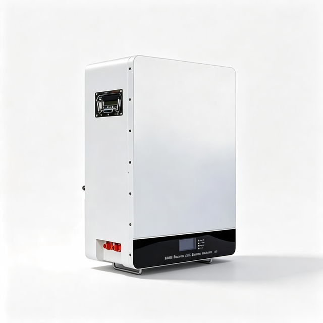 51.2V 10kWh Wall-Mounted LiFePO4 Lithium Battery Pack With Built-in BMS Commercial & Home Solar Energy Storage Battery