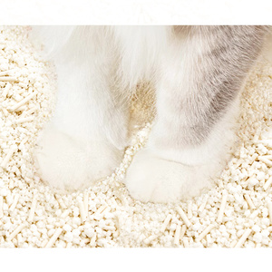 Areia para Gato de Mandioca Premium, Ecológica, à Base de Amido, Flushable, Biodegradável, Baixa Poeira, Venda Direta de Fábrica em Atacado - Product Image 6
