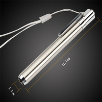 Mini lampe de poche en acier inoxydable LED 365/395 UV Lampe torche ultraviolette Lumière noire pour la détection des marqueurs