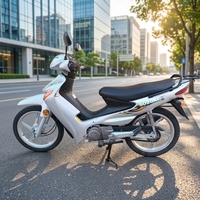 Une moto Suzuki 110cc à transmission automatique, capable de transporter du fret. Le meilleur choix pour la conduite quotidienne, maniabilité aisée.