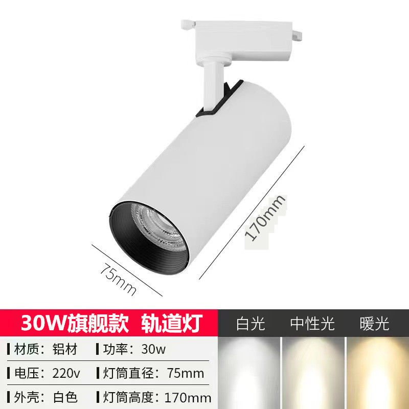 30W flagship model, white casing (three-wire)