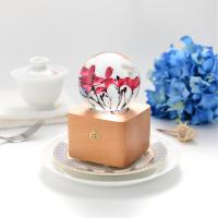 Lovebay Nouveautés Coffret Cadeau Original Unique avec Véritable Fleur Stabilisée, Lampe de Nuit LED Portable à Chargement USB et Enceinte