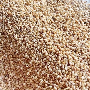 Semi di Sesamo Crudi di Alta Qualità, Naturali Bianchi/Neri, Fornitura all'Ingrosso per Esportazione Mondiale, Semi ad Alto Contenuto di Olio per Cucina - Product Image 5