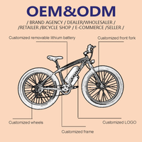 Vélo Électrique Prix Bas en Gros 48V 750W, E-Bike VTT Électrique Gros Pneus 20 Pouces, Moteur 1500W