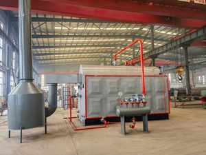 Caldaia a Vapore Industriale Orizzontale DZH a Tubi d'Acqua, Combustibile a Biomassa, Bassa Pressione, Capacità 1-6 Tonnellate/ora, Risparmio Energetico per la Lavorazione del Riso - Product Image 3