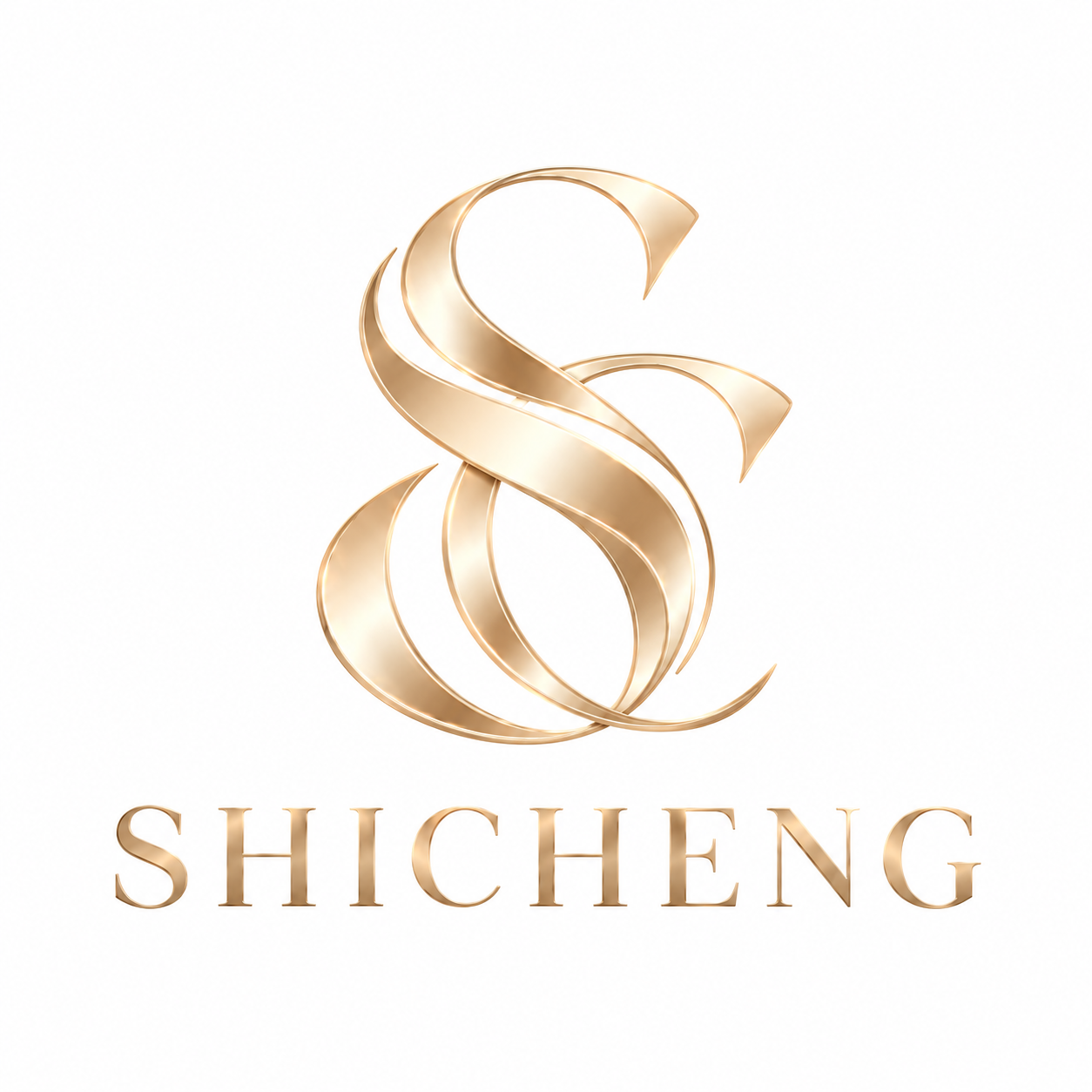 Dongyang Shicheng Network Technology Co., Ltd. logo