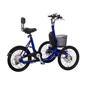 Tricycles électriques pour le transport de marchandises, les courses, les voyages et usages multiples, pour transporter des marchandises et améliorer la vie quotidienne - Product Image 5