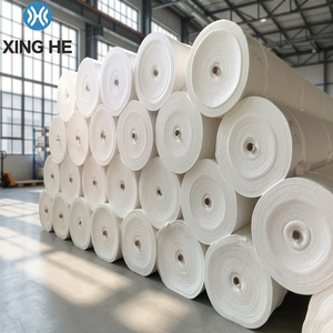 Géotextile non tissé en plastique PP/HDPE résistant aux produits chimiques 600g/m² pour environnements industriels difficiles - Product Image 1