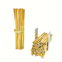 Azanature Pajitas de Hierba Lepironia 100% Naturales Biodegradables, Ecológicas, Sin Plástico, Inodoras, Sin Sabor, Desechables