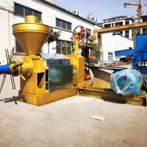 Cold Oil Press Machine Sesame Oil Press Machine sunflower Oil Production extractor