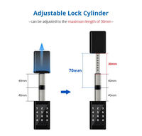 Serrure à cylindre intelligente en or, serrure à cylindre Euro réglable, serrure de porte à empreinte digitale en laiton C36C